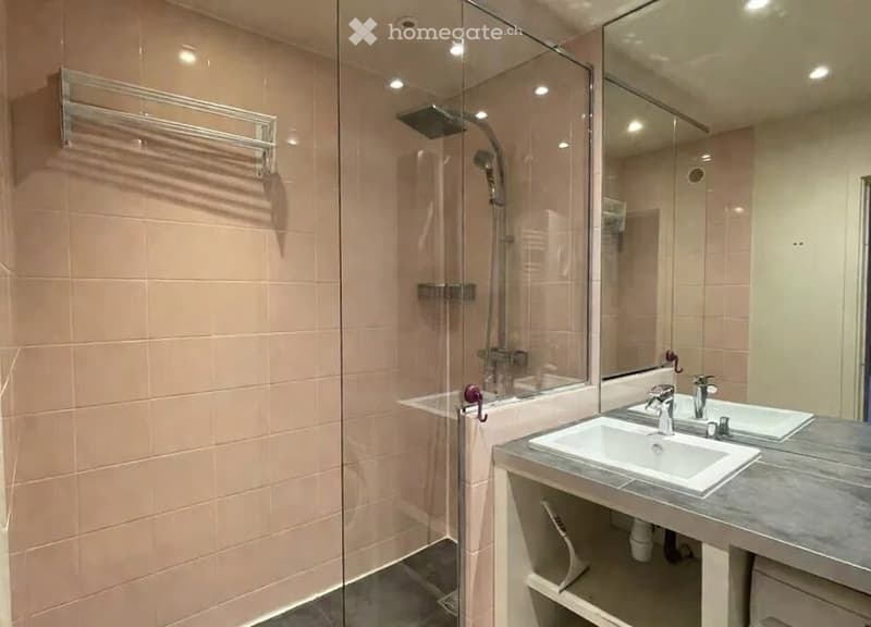 Appartement 2 pièces rénové  Eaux-Vives  lumineux avec vue (5)