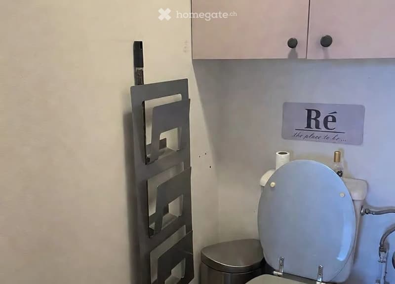 Appartement 2 pièces rénové  Eaux-Vives  lumineux avec vue (2)