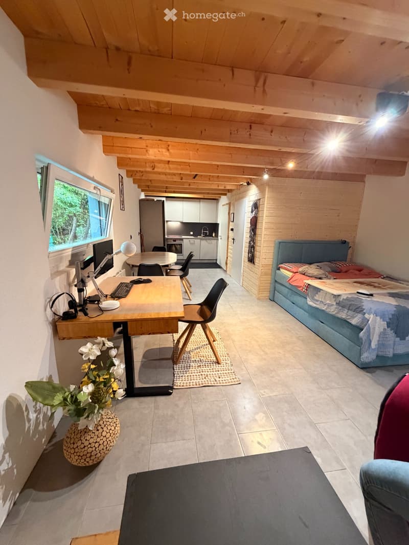 Studio - Chambre d'étudiant en semaine (6)