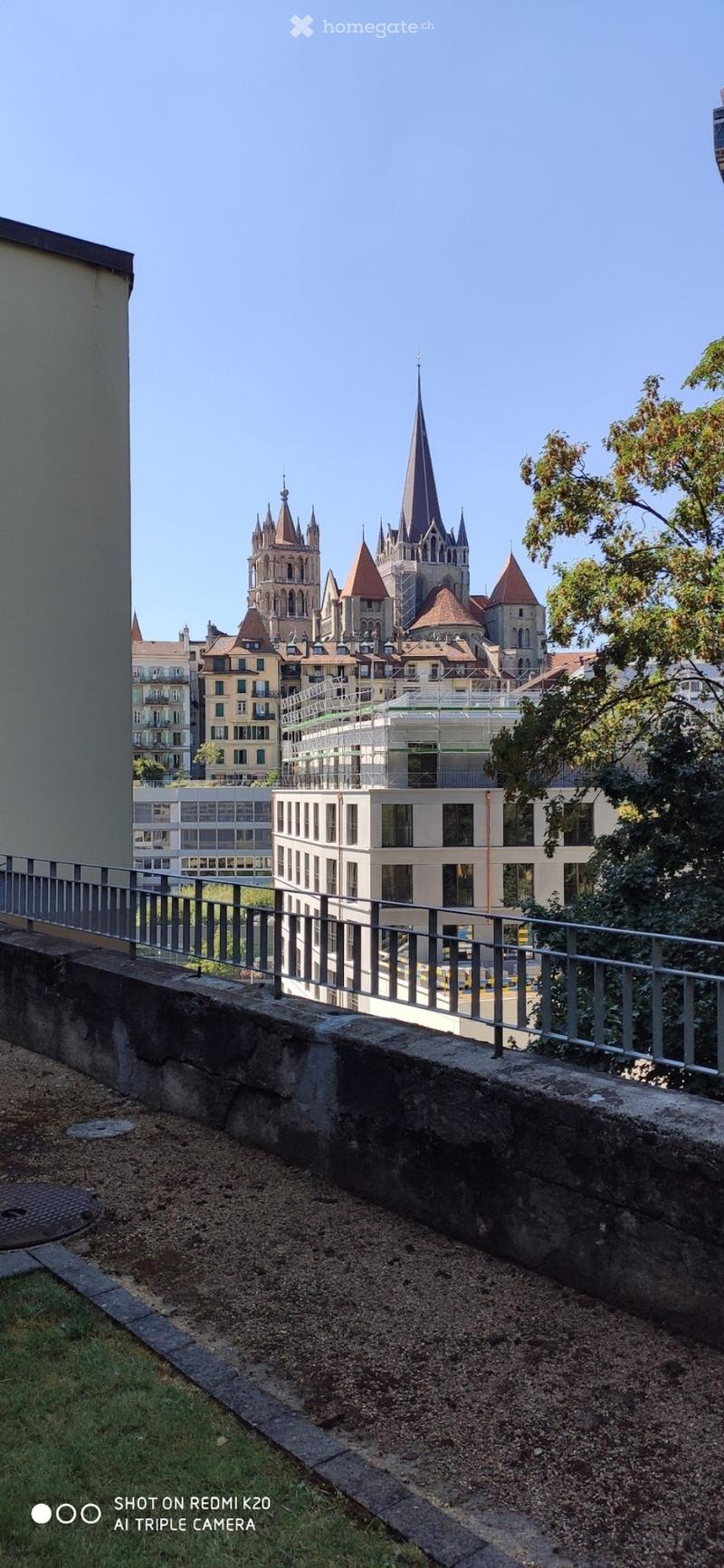 Magnifique Loft au centre de Lausanne (5)