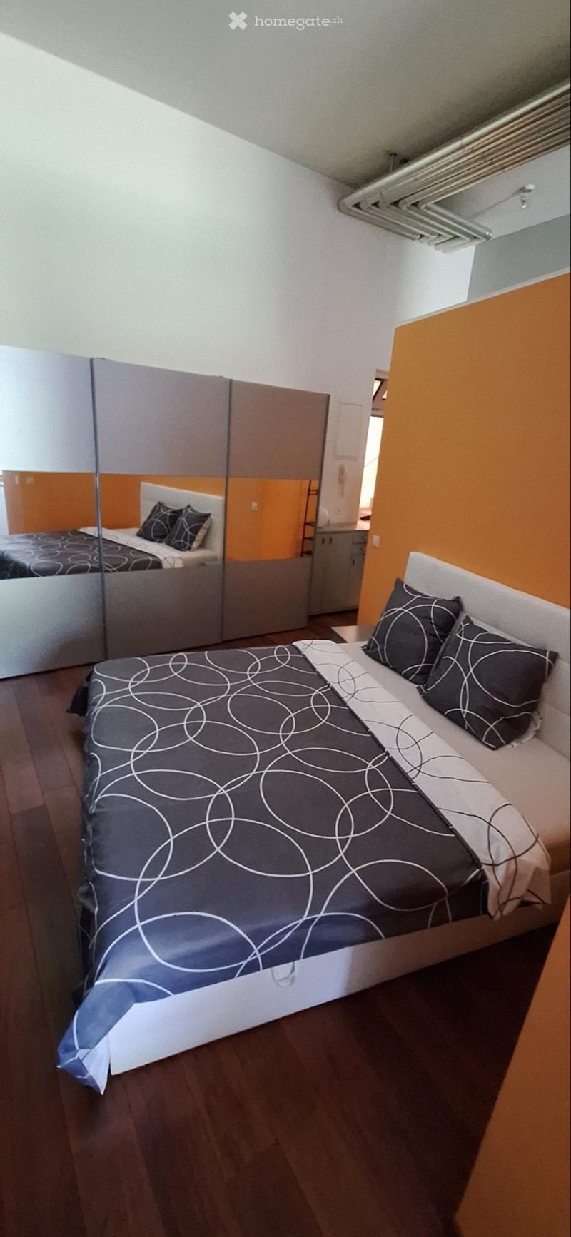 Magnifique Loft au centre de Lausanne (4)