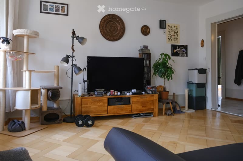 Chambre disponible en colocation (2)