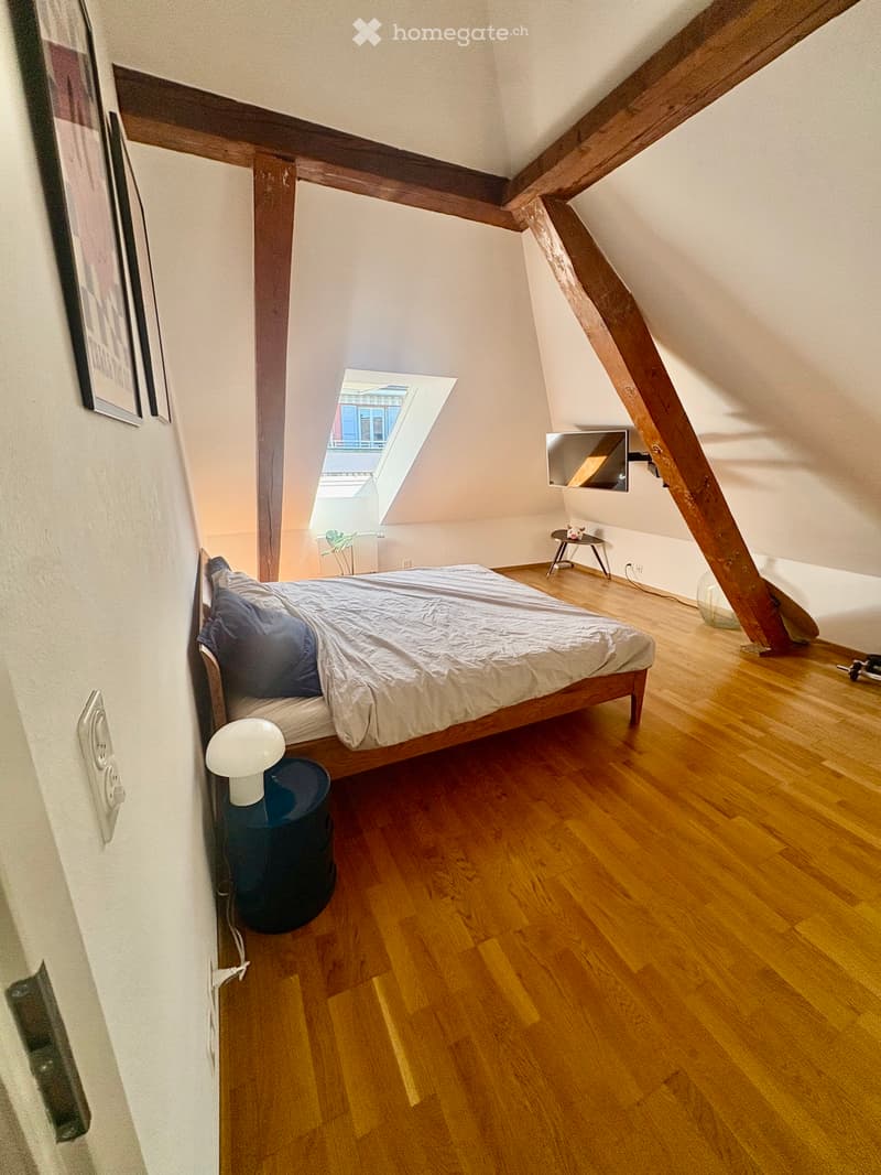 Magnifique 3,5 pièce (4)