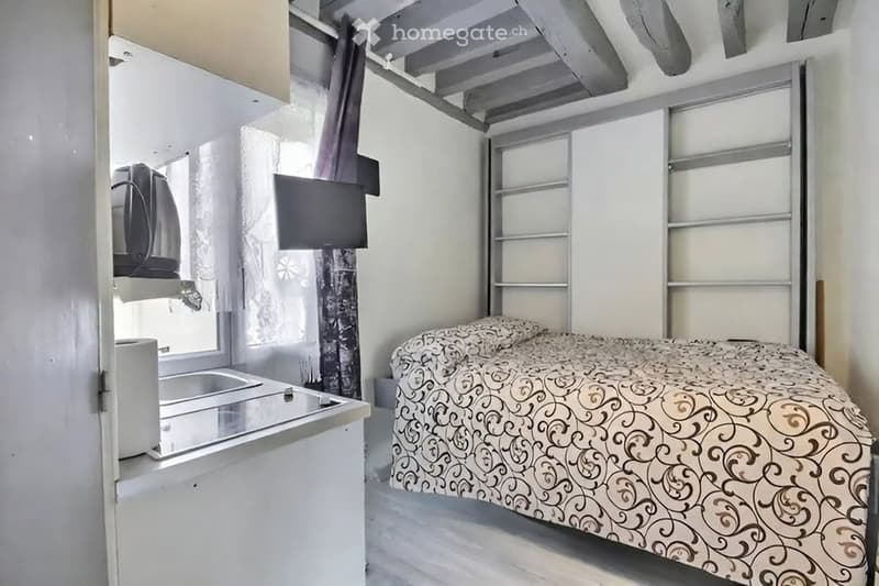 Studio meublé 1.5 pièce  Carouge  lumineux et fonctionnel (5)