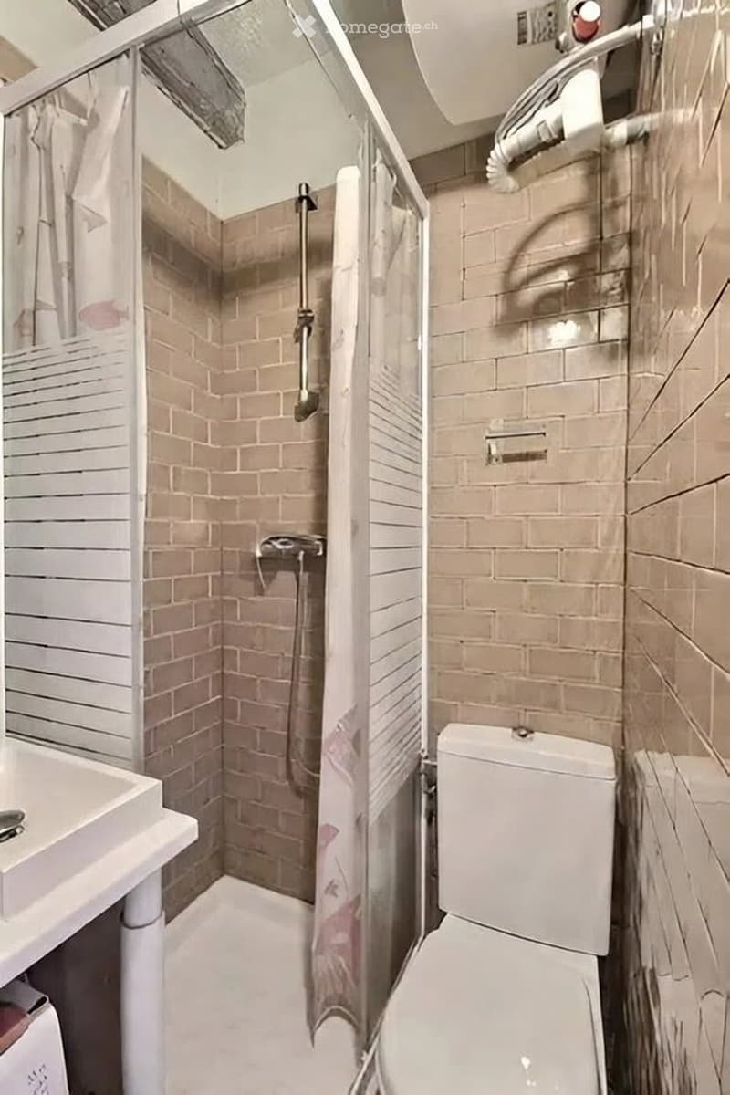 Studio meublé 1.5 pièce  Carouge  lumineux et fonctionnel (4)