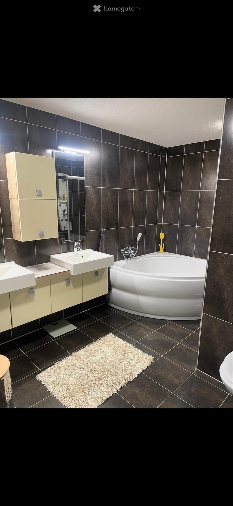 Apparemment de 4,5 pièces Rez-de-chaussée (6)