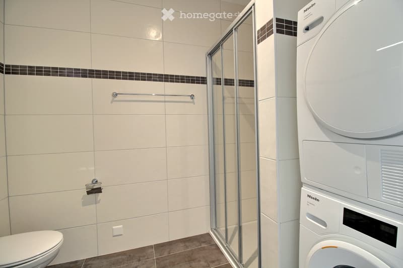2 LOYERS OFFERTS - SUPERBE 3.5 PIÈCES MODERNE 81m2 (3)
