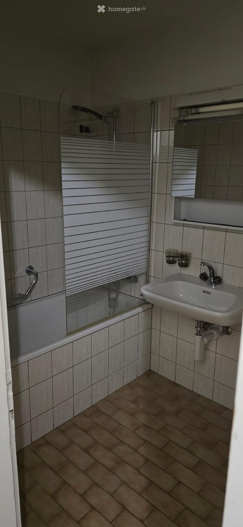 Appartement 3,5 pièces à louer (4)