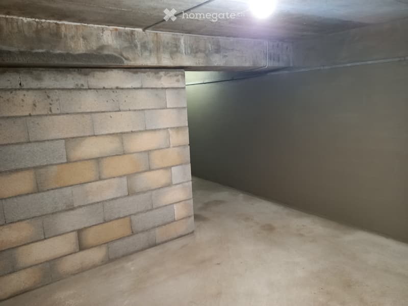 Petit immeuble 3 appartements à rénover (3)