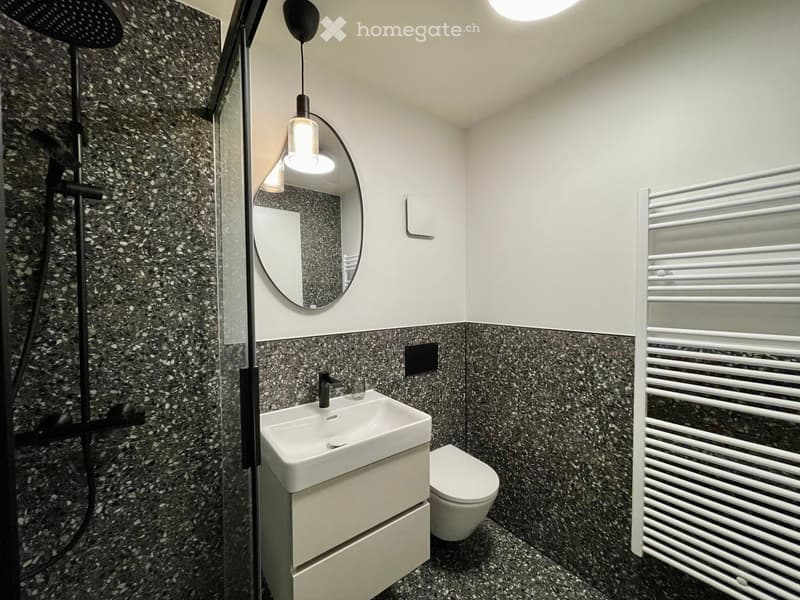 Appartement meublé de standing  2.5 pièces avec jardin (5)