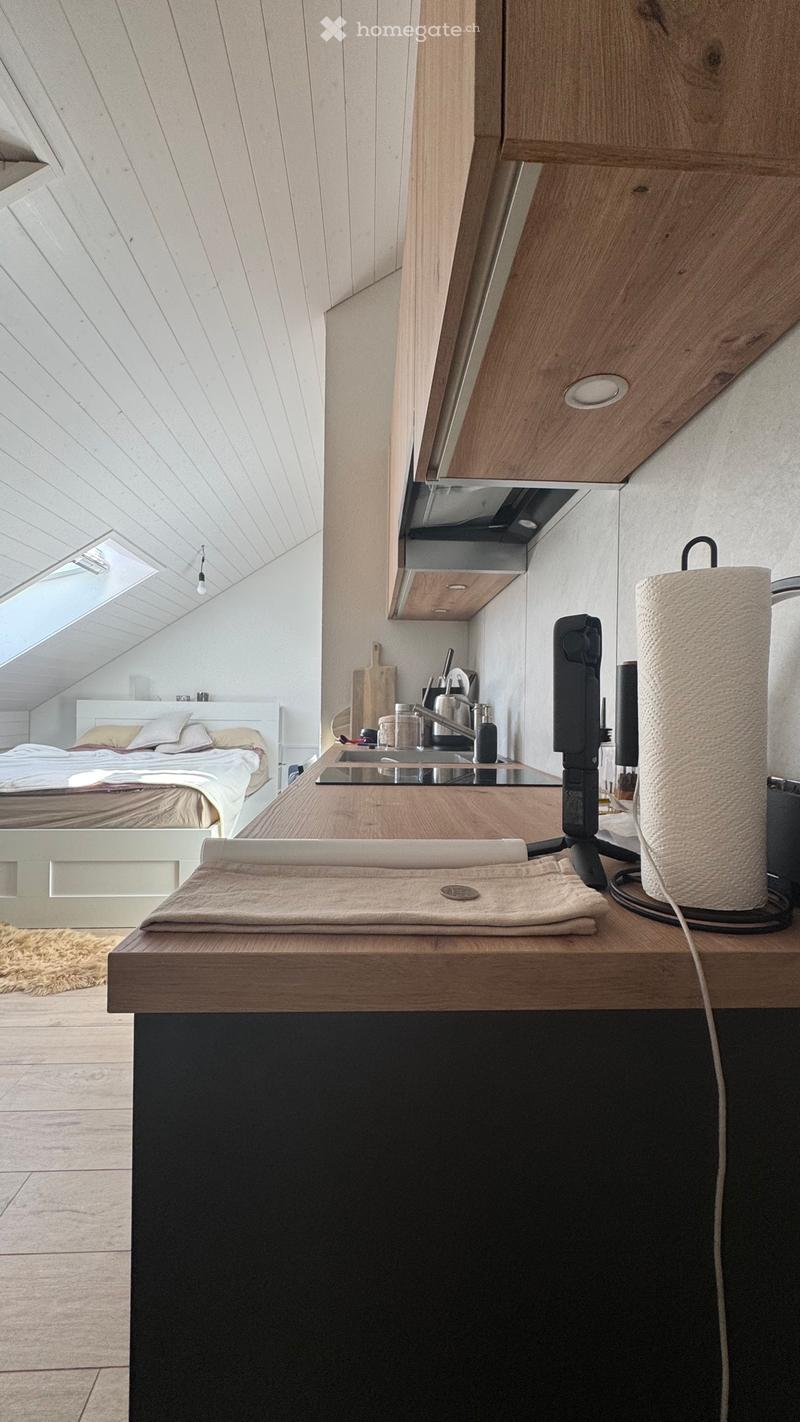 Appartement studio meublé à louer (3)