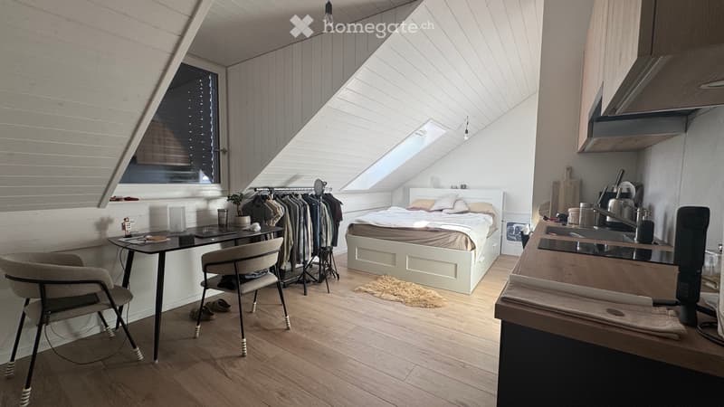 Appartement studio meublé à louer (4)