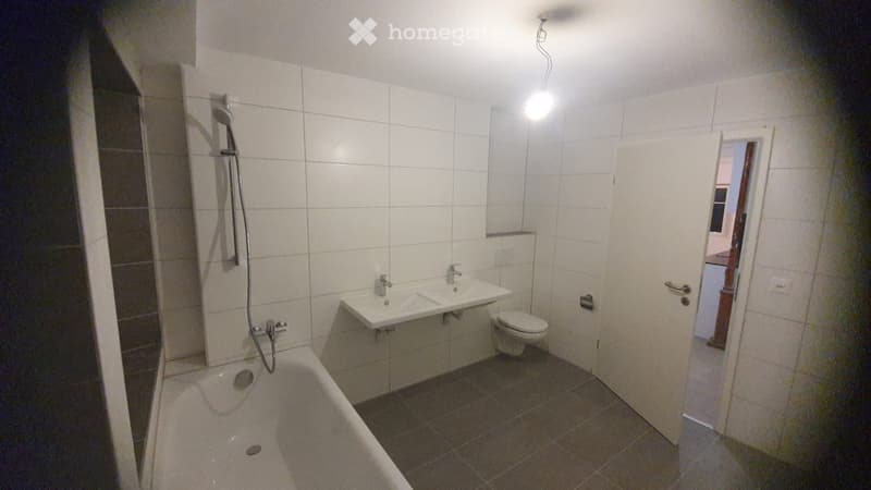 Superbe appartement entièrement rénové (5)