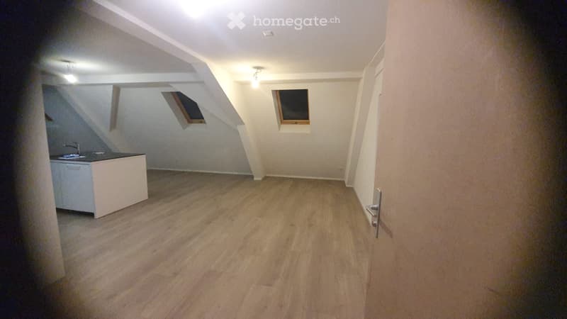 Superbe appartement entièrement rénové (2)