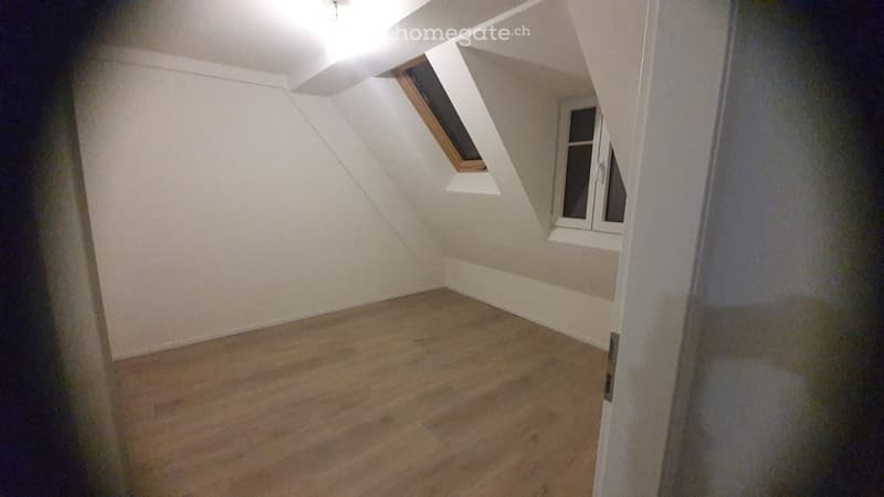 Superbe appartement entièrement rénové (4)