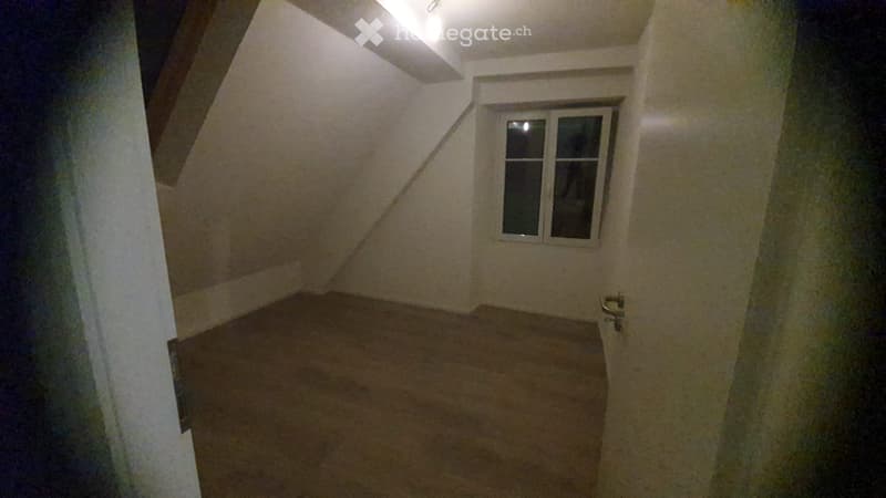 Superbe appartement entièrement rénové (3)