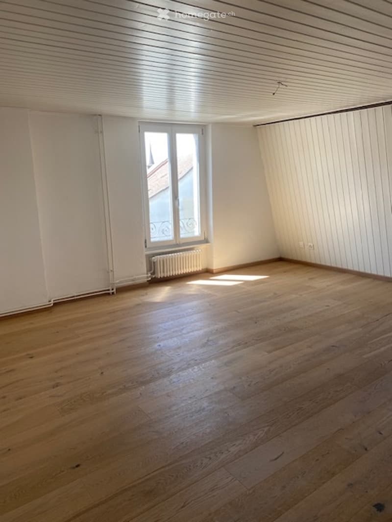 Appartement 4,5 proche de toutes les commodités (4)