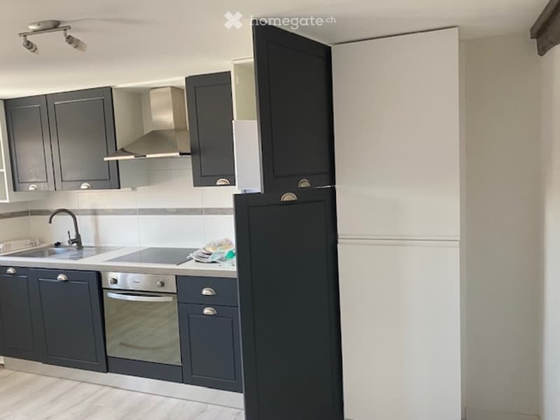 Appartement 4,5 proche de toutes les commodités (2)