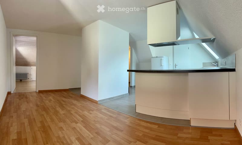 La Chaux-de-Fonds : Magnifique appartement 2,5 pces à louer (5)