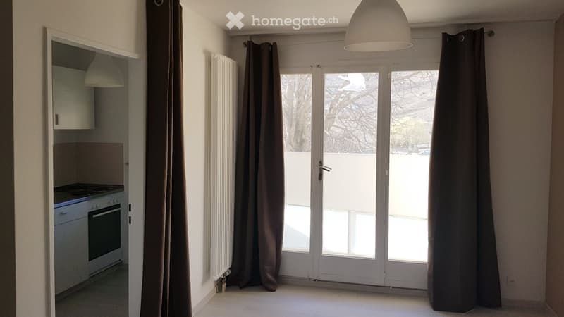 Charmant appartement de 2 pièces avec balcon et parking (3)