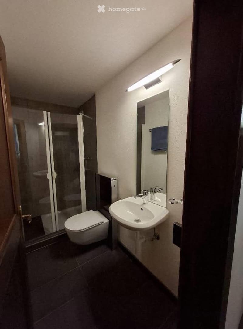 Magnifique appartement à Cornaux de 3,5 pièce avec mezzanine (7)