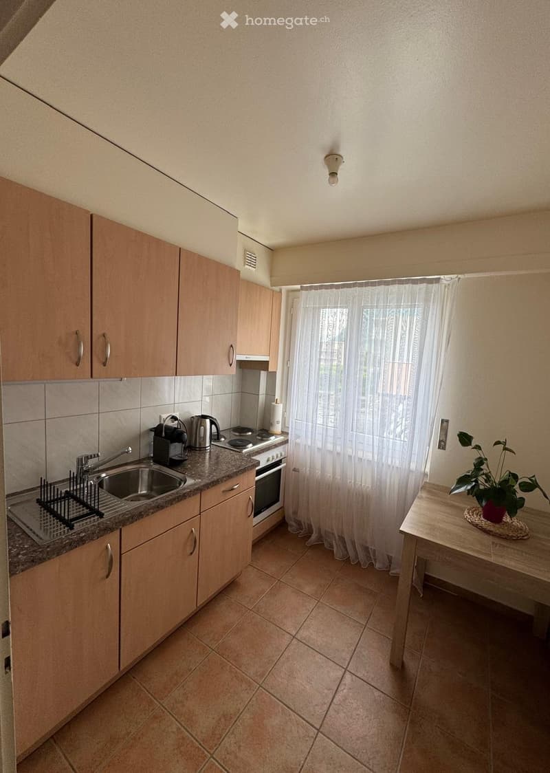 Appartement 3.5 pièces à reprendre (4)