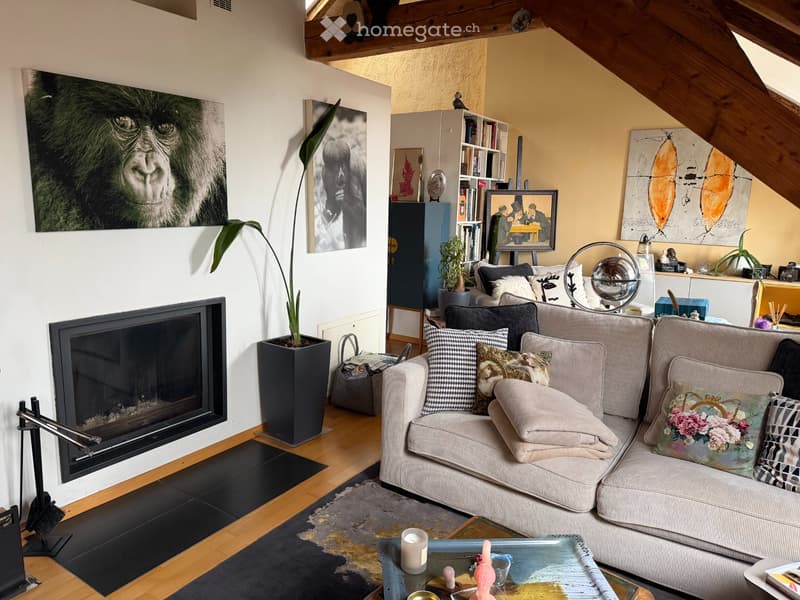 Magnifique appartement avec cachet et jardin extérieur (4)
