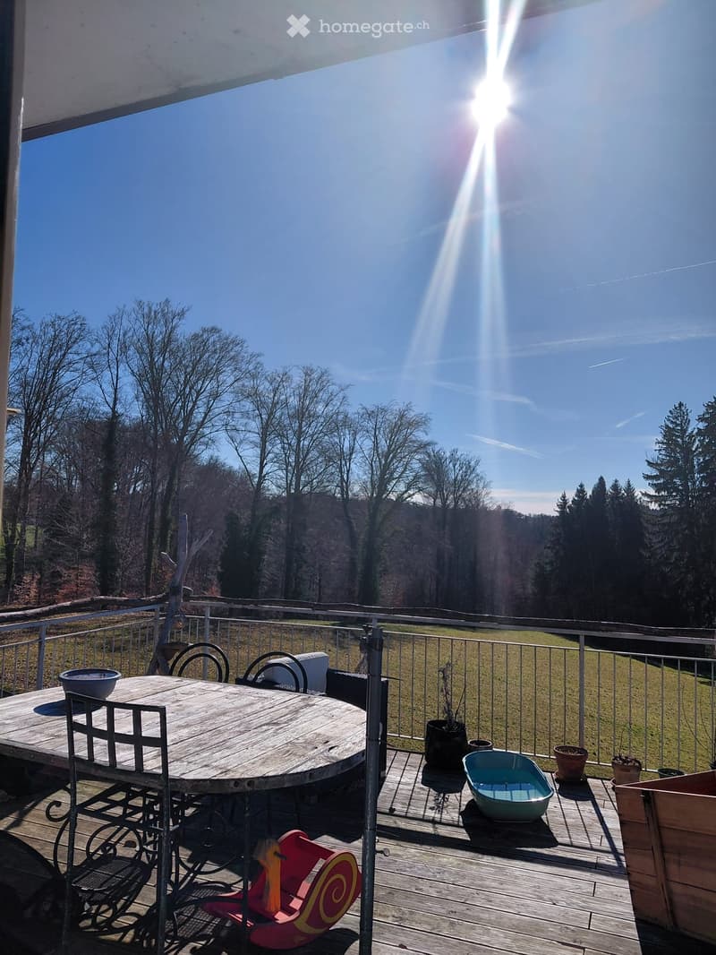 Appartement dans une coopérative avec jolie terrasse (4)
