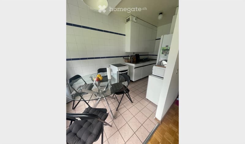 Cherche une colocataire FEMME (4)
