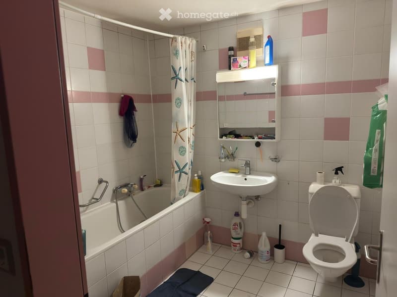 Appartement 3,5 pièces à louer dès le 1.07.2026 (3)