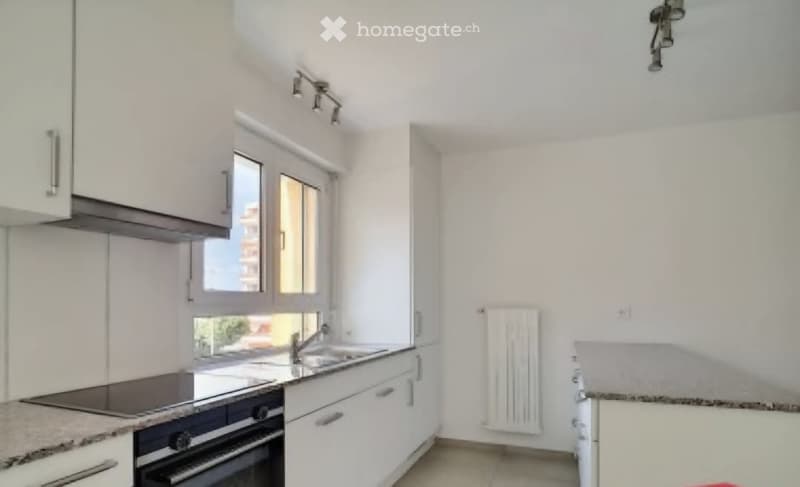 À louer Appartement 3,5 pièces avec balcon (1)