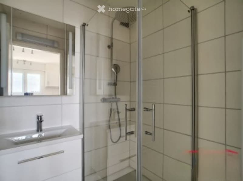 À louer Appartement 3,5 pièces avec balcon (4)