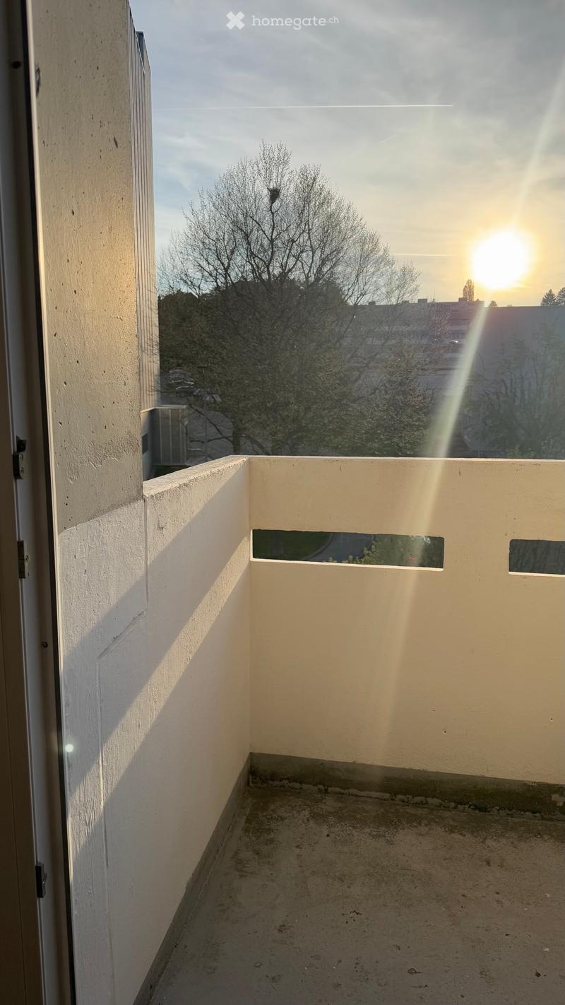 Apparemment à louer (5)