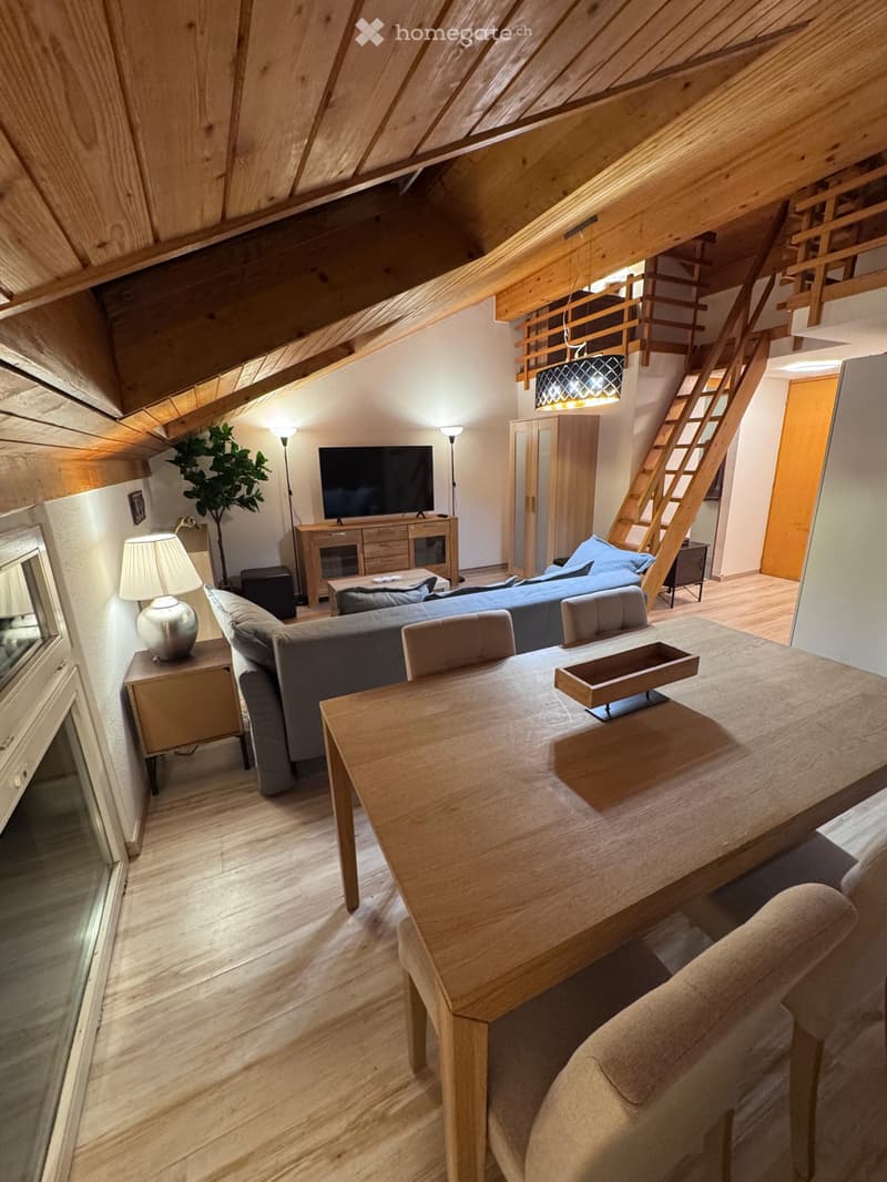 À louer direct du propriétaire duplex meublé tout équipé (7)