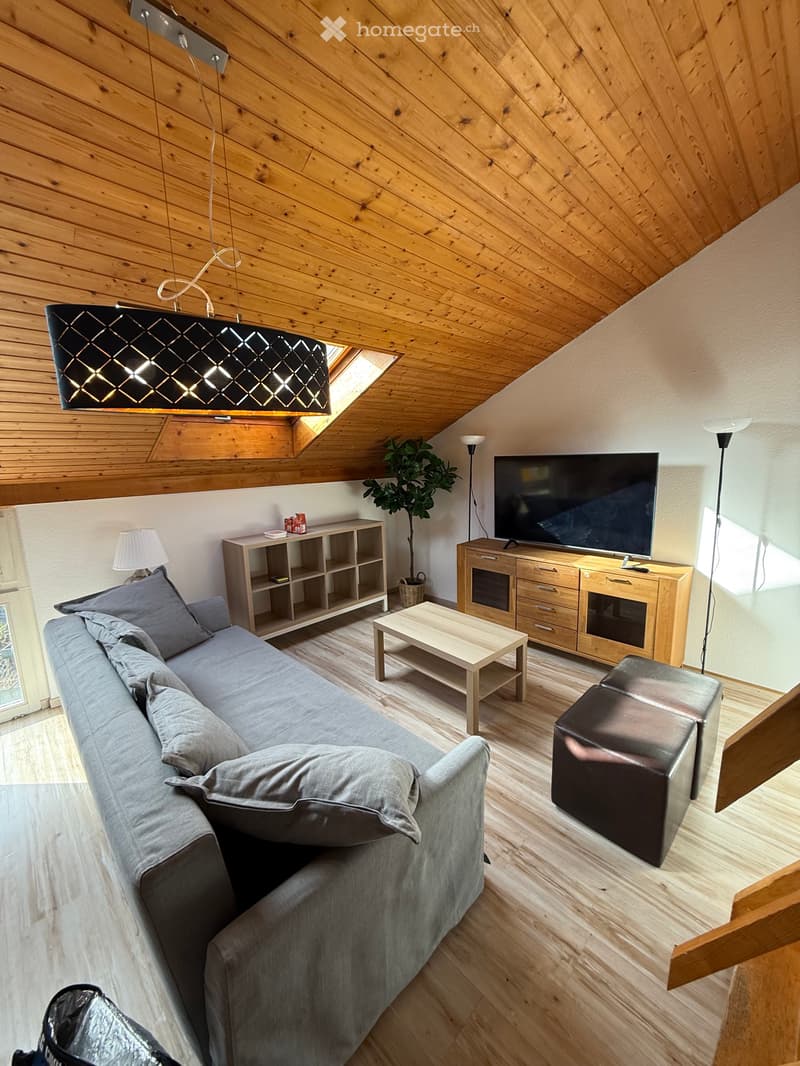 À louer direct du propriétaire duplex meublé tout équipé (1)
