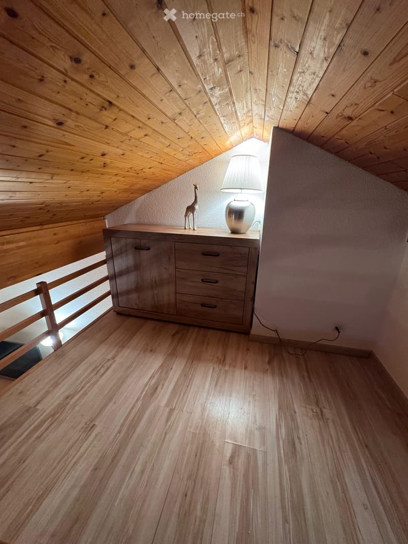 À louer direct du propriétaire duplex meublé tout équipé (13)