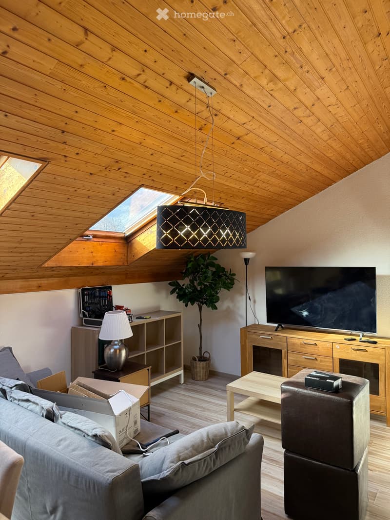 À louer direct du propriétaire duplex meublé tout équipé (5)
