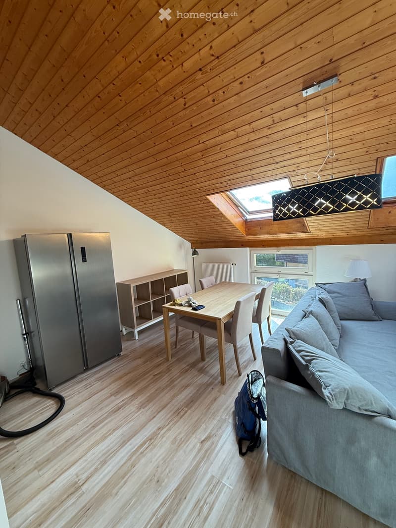 À louer direct du propriétaire duplex meublé tout équipé (2)