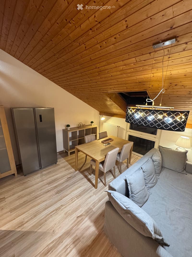 À louer direct du propriétaire duplex meublé tout équipé (10)