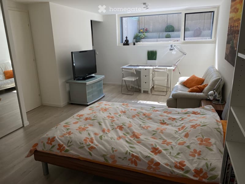 Studio meublé à louer à Nyon (4)