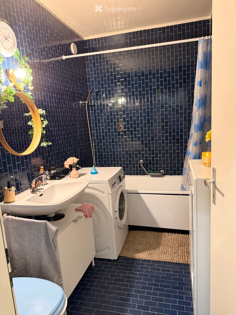 Chambre à louer pour 3 mois (2)