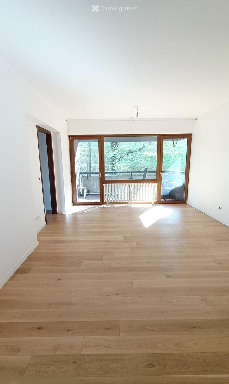 3.5-Zimmer Wohnung renoviert 2022 (2)