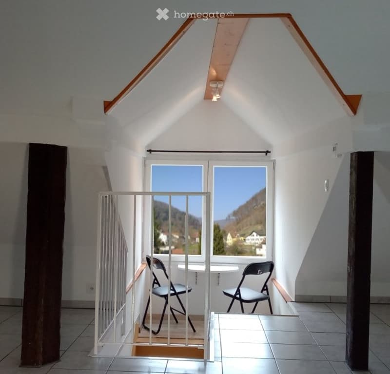 Magnifique duplex en attique de 3.5 pièces (5)