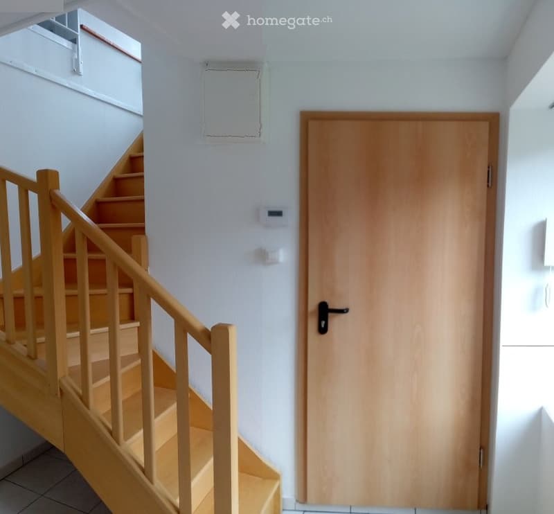 Magnifique duplex en attique de 3.5 pièces (6)