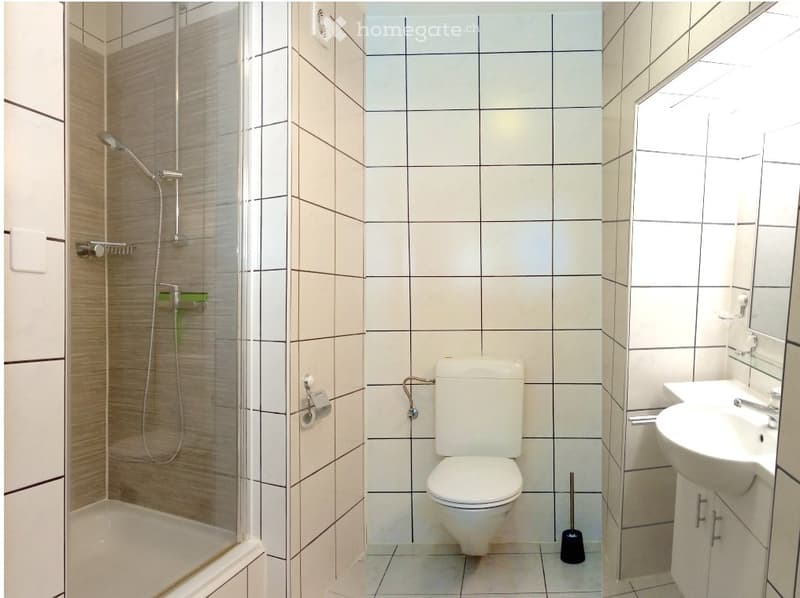 Magnifique duplex en attique de 3.5 pièces (9)