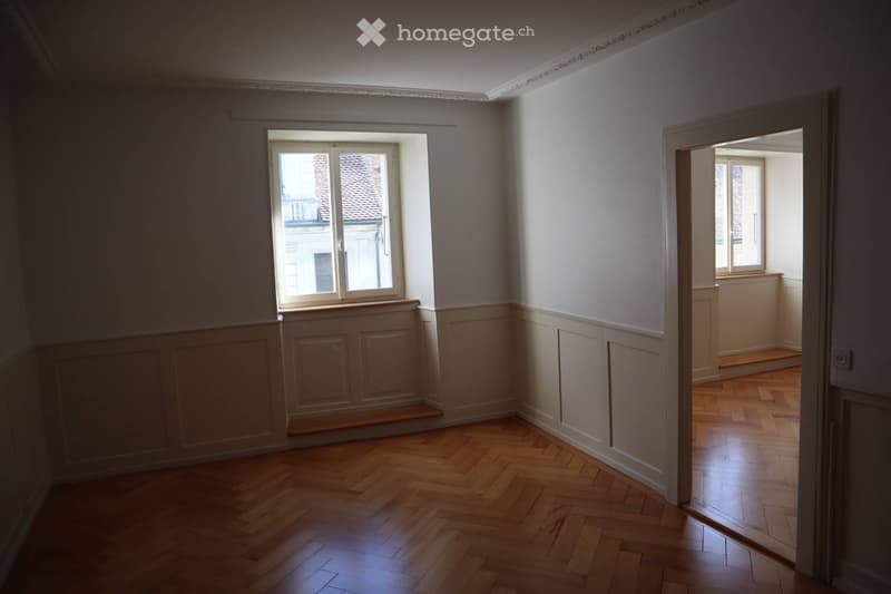 Appartement lumineux de 3.5 pièces (85 m2) (4)