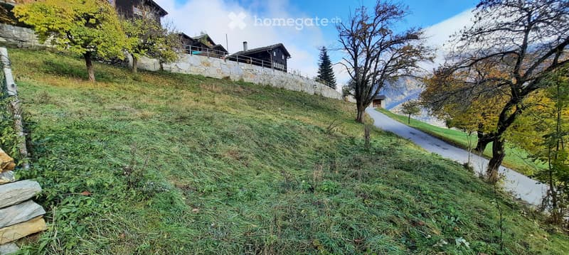 Barn/Stable for renovation in 3934 Zeneggen VS (4)