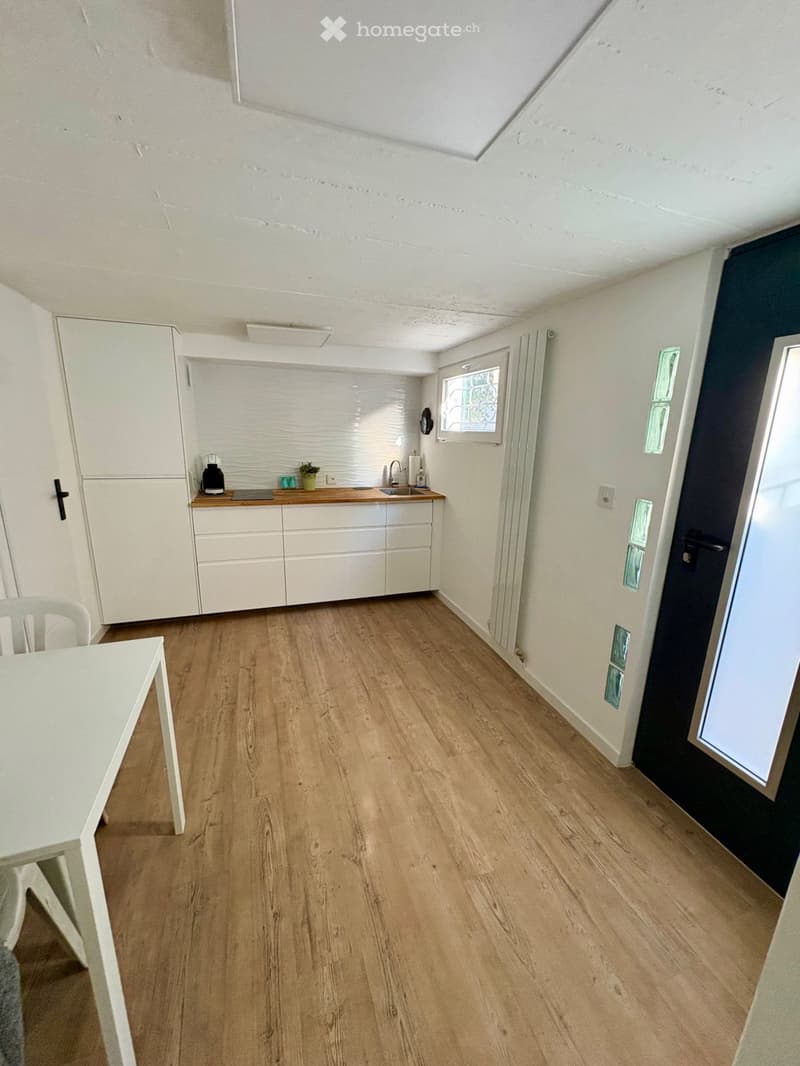 Fully furnished studio (1)
