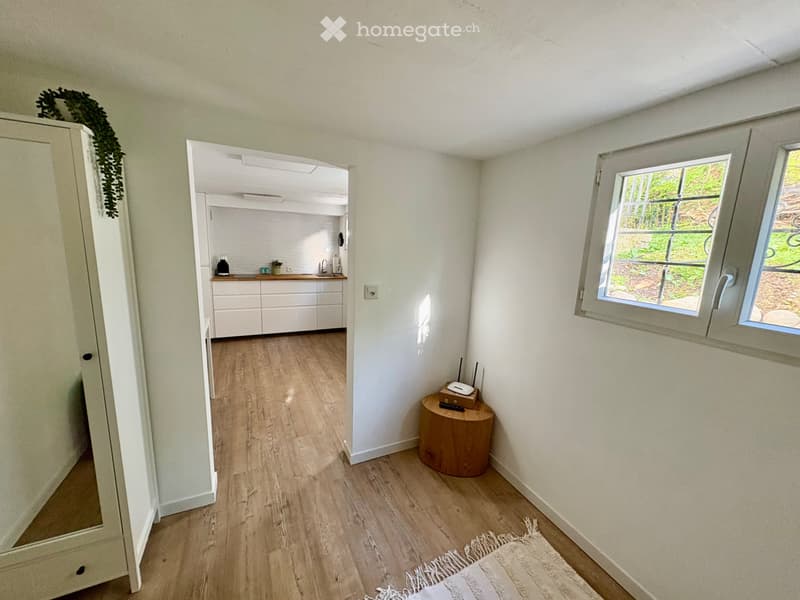Fully furnished studio (2)