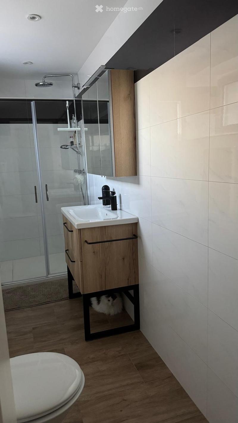 Appartement à louer à Motiers (3)